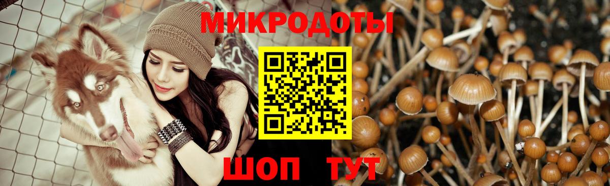 Псилоцибиновые грибы Magic Shrooms Ангарск